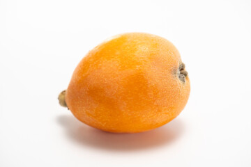 ビワの果実　白バック