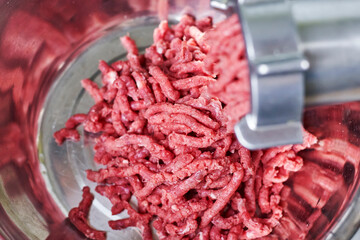 Electric meat grinder. Kitchen tool to mince meat. Meat grinding, preparing food ingredients. Vegan...