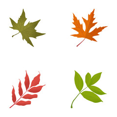 Fall Leaves Flat Icons 