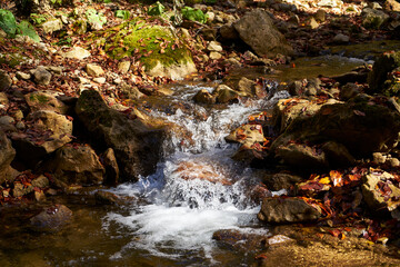 Image of a threshold on a mountain river.