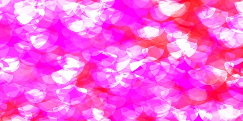 Obraz premium Light Pink vector layout with circle shapes.