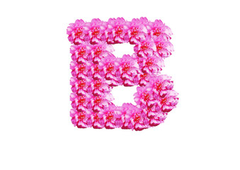 The letter is made of pink flowers on a white background. Spring concept Floral letters of the alphabet for wedding design or flower festival