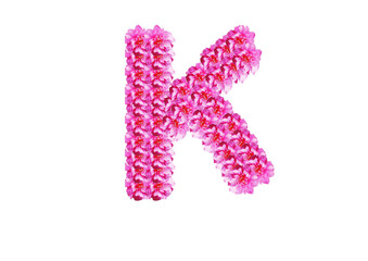 The letter is made of pink flowers on a white background. Spring concept Floral letters of the alphabet for wedding design or flower festival