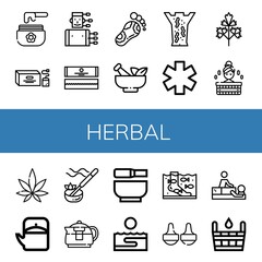 Set of herbal icons