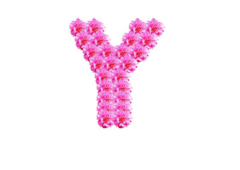 The letter Y is made of pink flowers on a white background. Spring concept Floral letters of the alphabet for wedding design or flower festival