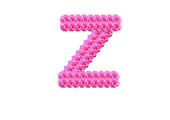 The letter Z is made of pink flowers on a white background. Spring concept Floral letters of the alphabet for wedding design or flower festival