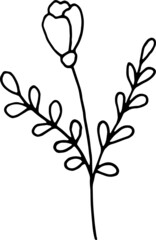 Hand drawn vector illustration of decorative flowers. Black outlines isolated on white background. Doodle style. Image for coloring book design, seasonal cards decoration and printed materials.