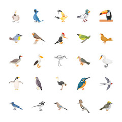 Cartoon Birds Flat Vector Set  