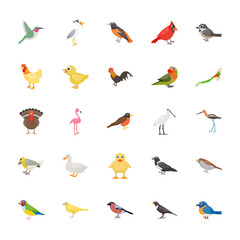 Pet Birds Flat Vectors Pack 