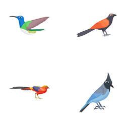 Feather Creature, Birds Flat Icons 