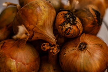 Golden, orange pumpkin. Autumn vegetables. The view from the top