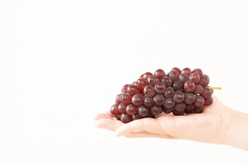 ぶどうを持つ手　ホワイトバック