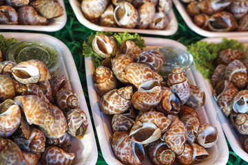 shellfish in white tray with spicy seafood sauce and vegetable