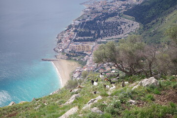 Panorama from the viewpoint at the top of Monte Pellegrino, Palermo, Sicily