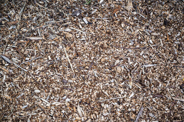 Fototapeta premium A closeup of the ground covered in wooden pieces and branches at daytime