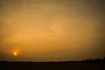 Sunset  or Sunrise View at Kaziranga National Park of Assam, India

