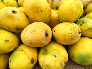 fresh healthy yellow sweets mango put on fruits shop