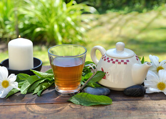 cup of mint tea and teapot on a wooden table in garden among fresh  leaf and white flowers