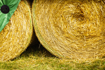 Bale of hay outdoors