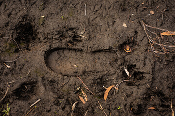 Single footprint deeply implanted into the muddy ground. Evidence of human shoe making contact with...