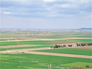 View of Jazeera plain seen from a Raqqah hill near Euphrates river
