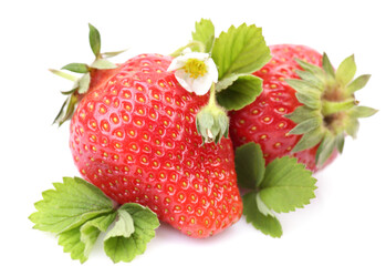 Strawberries on a white background