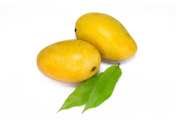 Fresh mangoes with green mango leaves on white background