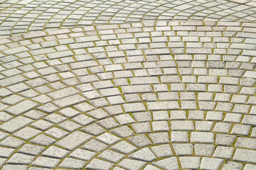 Symmetrical pattern of sidewalk tile with green moss .Grey pavement stone texture