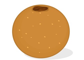 Atta Ladoo or Atte ka Laddu Indian Sweets or Mithai Food Vector