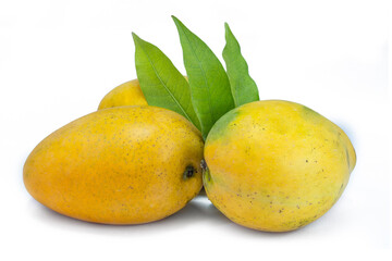 mangoes with green leaves 