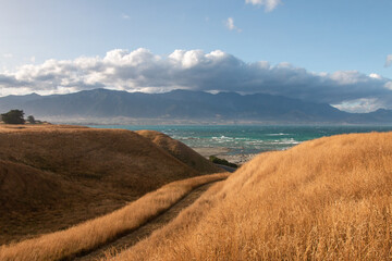 Fototapeta premium Rural road in Kaikoura, Canterbury, New Zealand