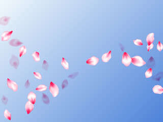 Japanese cherry blossom pink flying petals