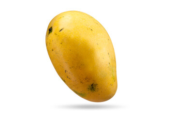Alphonso fresh mango on white background