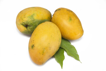 Ripe Golden Mangoes Isolated on white background