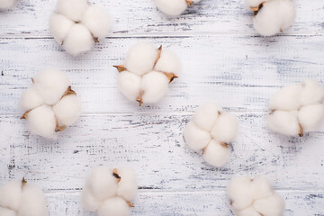 Top above overhead view photo of cotton plant flower isolated on white wooden background