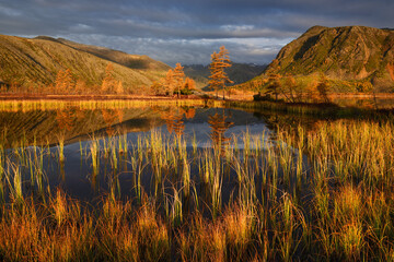 Golden autumn in the tundra, lake Jack London, Kolyma, Magadan region, Russian far East