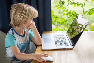 Young boy watching computer at home