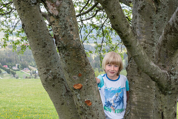 Smiling boy climbs big thick tree
