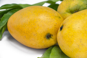 close up of high quality mangoes