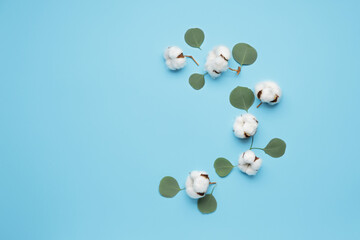 Beautiful cotton flowers and eucalyptus leaves on color background