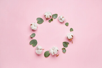 Composition with beautiful cotton flowers and eucalyptus leaves on color background