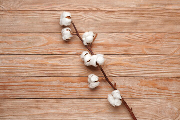 Beautiful cotton branch on wooden background