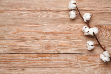 Beautiful cotton branch on wooden background
