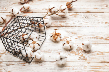 Beautiful cotton flowers and basket on wooden background