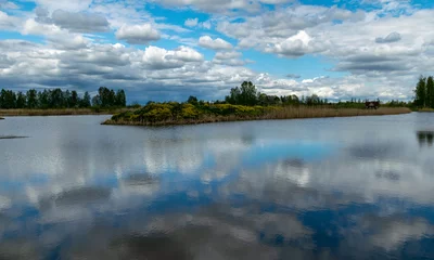Foto op Canvas calm scene of beautiful sky with cumulus clouds reflection on the lake © ANDA