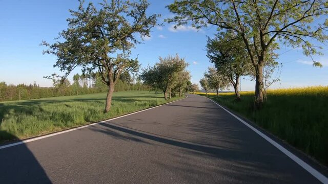 car drive in spring countryside road, sunny landscape with field and meadow. Europe travel concept