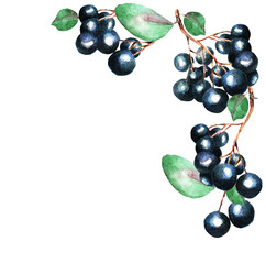 Currant, frame, watercolor (2)