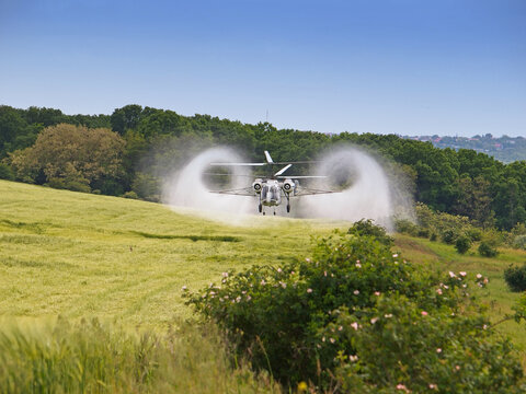 Aerial spraying over a field of wheat to control pests in agriculture 