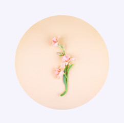 Flower on a background.