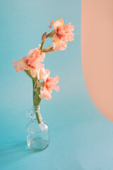 Flower on a background.